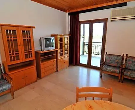 Coral 2*